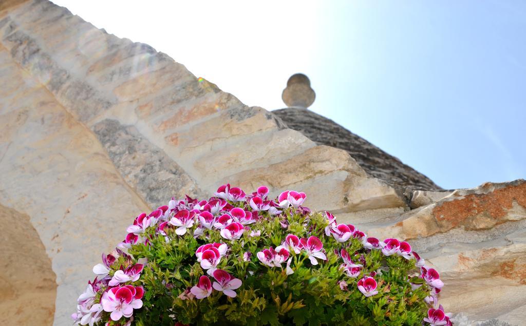 Il Trullo Del Mirto Villa Selva Di Fasano Exteriör bild